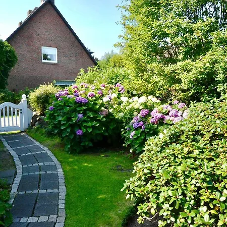Moewennest