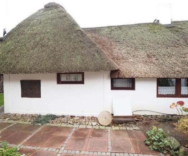 Moewennest